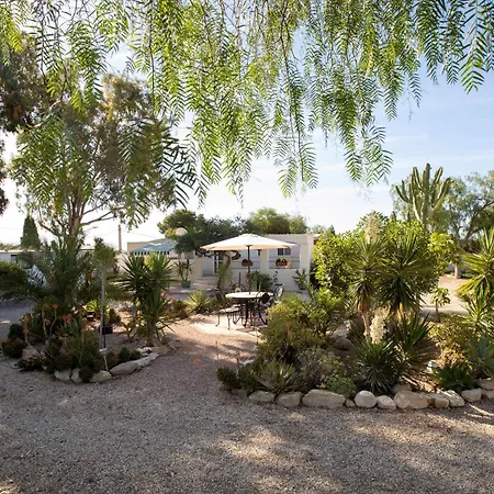 Garten Und Pool Sant Vicent del Raspeig (San Vicente del Raspeig)