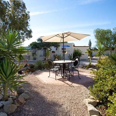 Garten Und Pool San Vicente Raspeig